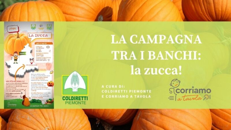 La campagna tra i banchi… la zucca!