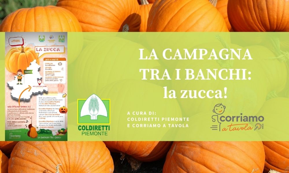 La campagna tra i banchi… la zucca!